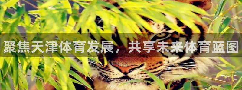 意昂体育4联系电话：聚焦天津体育发展，共享未来体育蓝