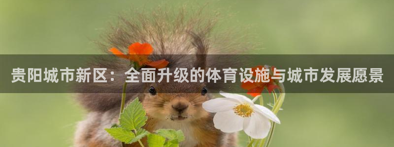 意昂体育4是干嘛的公司：贵阳城市新区：全面升级的体育