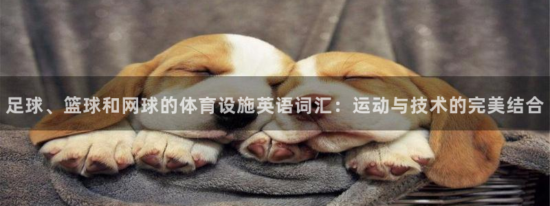 意昂平台体育