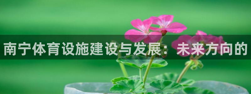 意昂集团官网：南宁体育设施建设与发展：未来方向的