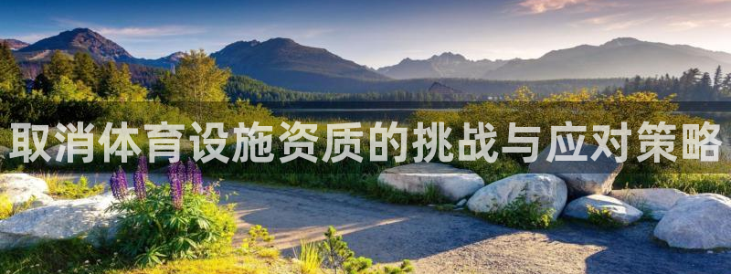 意昂体育4软件：取消体育设施资质的挑战与应对策略