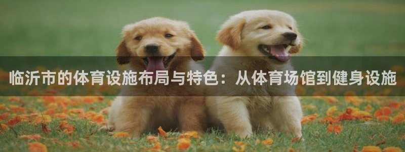 意昂4官网：临沂市的体育设施布局与特色：从体育场馆到