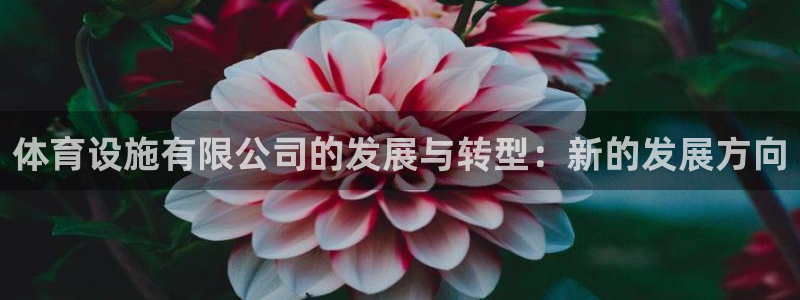 意昂4集团简介：体育设施有限公司的发展与转型：新的发