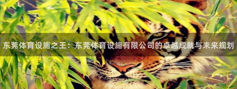 意昂4集团：东莞体育设施之王：东莞体育设施有限公司的