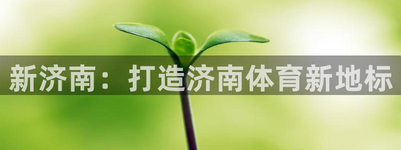 意昂4五金厂：新济南：打造济南体育新地标