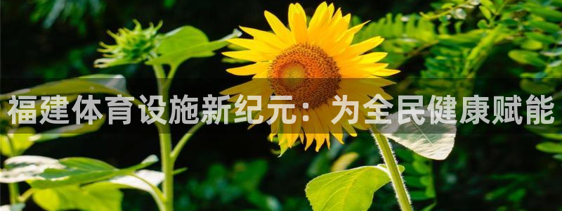 意昂体育4平台是正规平台吗：福建体育设施新纪元：为全