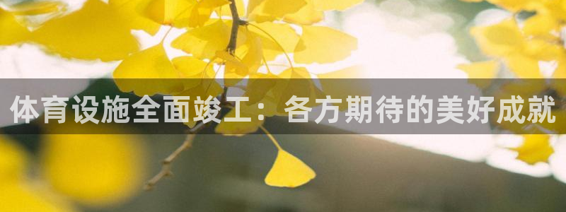 意昂体育4是干嘛的公司：体育设施全面竣工：各方期待的