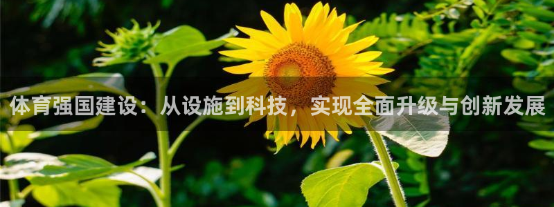 意昂4娱乐是那个系列的台子：体育强国建设：从设施到科
