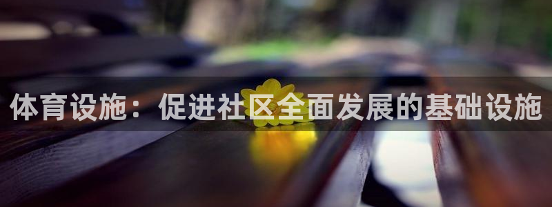 意昂体育4平台是正规平台吗：体育设施：促进社区全面发