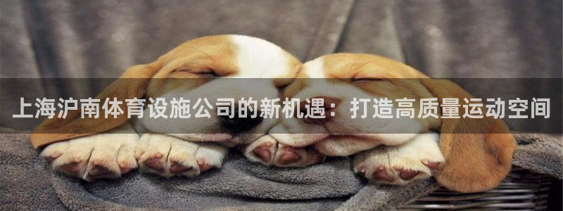 意昂体育4平台注册要钱吗：上海沪南体育设施公司的新机