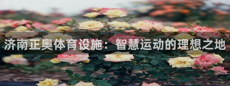 意昂4娱乐首页网站大全：济南正奥体育设施：智慧运动的