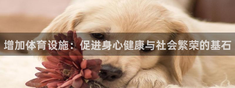 意昂4集团官网网址：增加体育设施：促进身心健康与社会繁荣的基