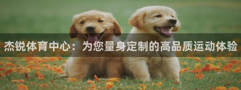 意昂体育4平台是正规平台吗：杰锐体育中心：为您量身定