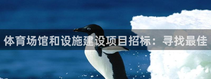 意昂4娱乐平台：体育场馆和设施建设项目招标：寻找最佳