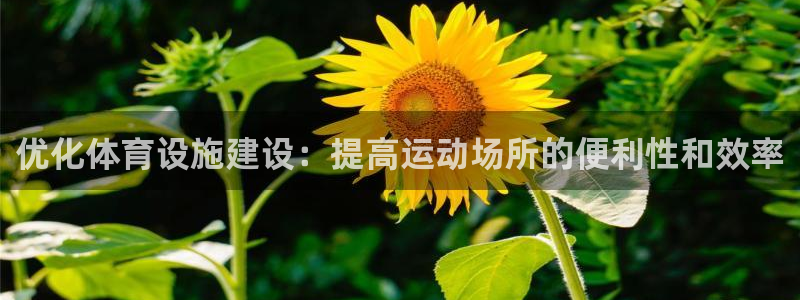 意昂4集团：优化体育设施建设：提高运动场所的便利性和