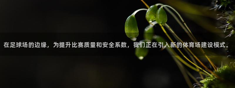 意昂4娱乐网站：在足球场的边缘，为提升比赛质量和安全
