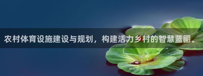 意昂体育4开户：农村体育设施建设与规划，构建活力乡村