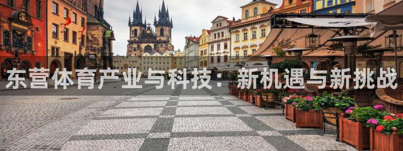 意昂体育4开户：东营体育产业与科技：新机遇与新挑战