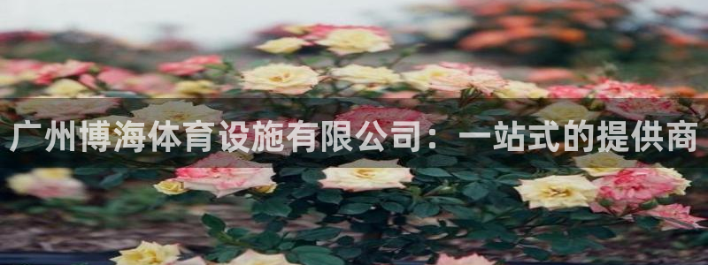 意昂4娱乐网站：广州博海体育设施有限公司：一站式的提供商