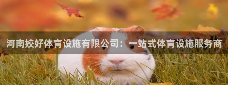 意昂体育4招商电话号码是多少：河南姣好体育设施有限公