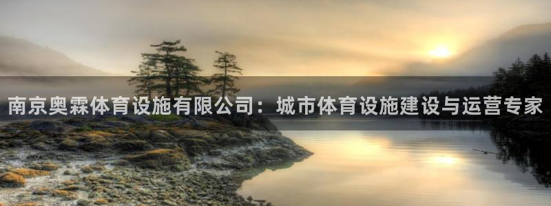 意昂4娱乐平台：南京奥霖体育设施有限公司：城市体育设施建设与