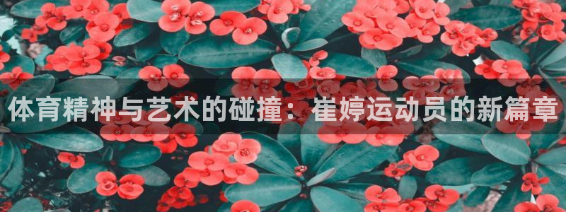 意昂体育4：体育精神与艺术的碰撞：崔婷运动员的新篇章 