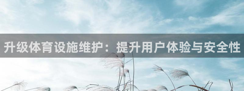 意昂4集团官网首页网址：升级体育设施维护：提升用户体验与安全