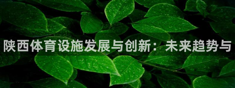 德国意昂4集团：陕西体育设施发展与创新：未来趋势与