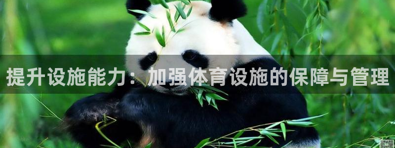 意昂4娱乐：提升设施能力：加强体育设施的保障与管理