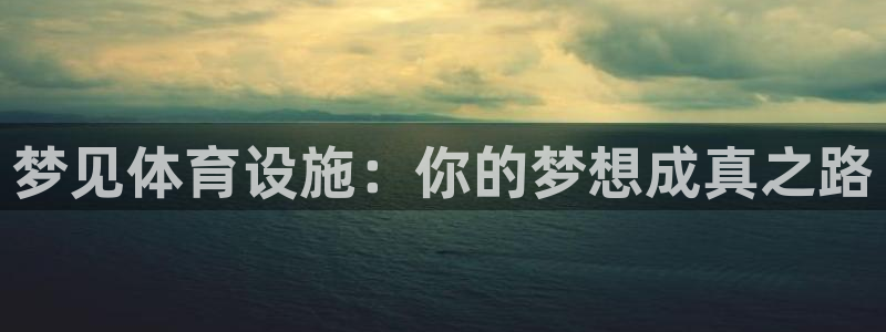 海南意昂体育4：梦见体育设施：你的梦想成真之路