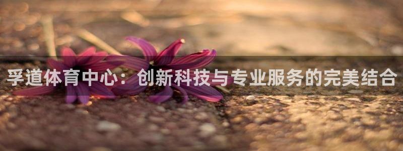 意昂体育4招商电话是多少：孚道体育中心：创新科技与专