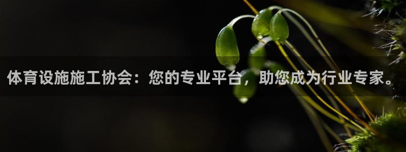 意昂体育4平台注册要钱吗是真的吗：体育设施施工协会：