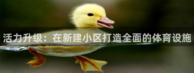 意昂集团官网：活力升级：在新建小区打造全面的体育设施