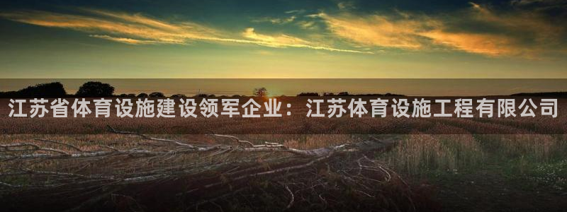 意昂4集团简介：江苏省体育设施建设领军企业：江苏体育