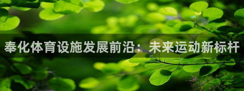 意昂体育4官方客服电话：奉化体育设施发展前沿：未来运