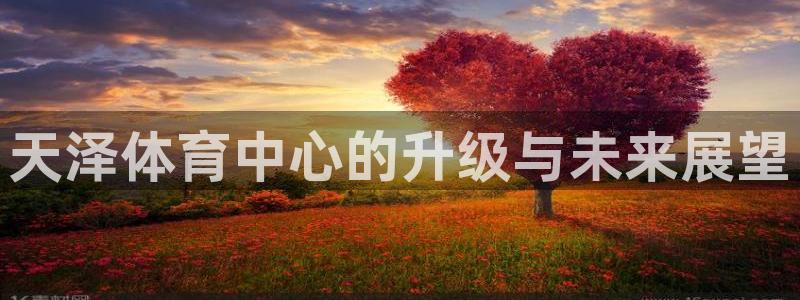 意昂体育4招商电话：天泽体育中心的升级与未来展望