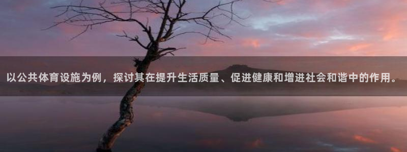 意昂体育4联系电话：以公共体育设施为例，探讨其在提升