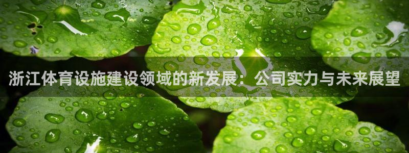 意昂体育4开户