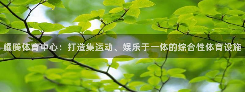 意昂体育4招商电话地址：耀腾体育中心：打造集运动、娱