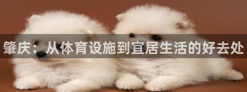 意昂4集团E.ON：肇庆：从体育设施到宜居生活的好去处