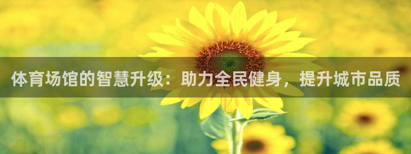 意昂4娱乐：体育场馆的智慧升级：助力全民健身，提升城市品质