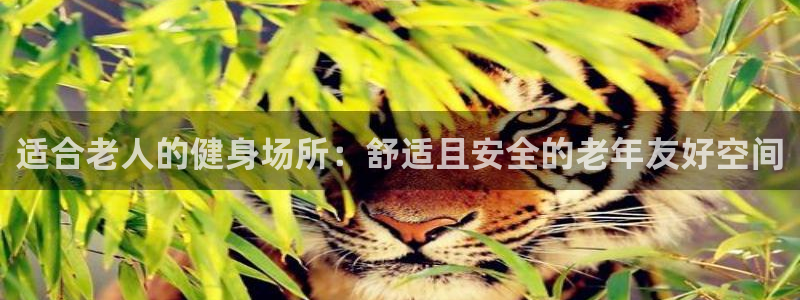意昂4娱乐首页网站大全