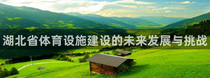 意昂体育4娱乐：湖北省体育设施建设的未来发展与挑战 