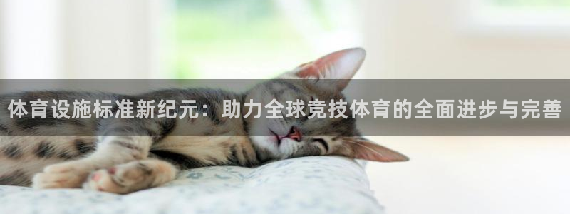 意昂4集团E.ON：体育设施标准新纪元：助力全球竞技体育的全