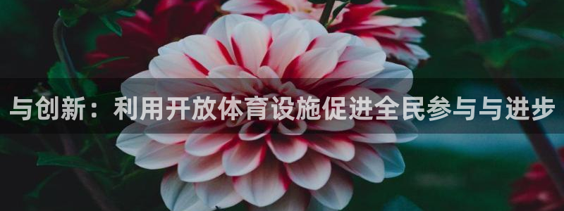 意昂4娱乐首页网站大全：与创新：利用开放体育设施促进全民参与