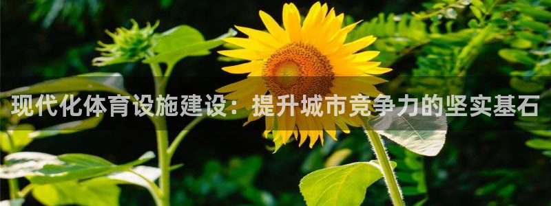 意昂4集团官网首页：现代化体育设施建设：提升城市竞争