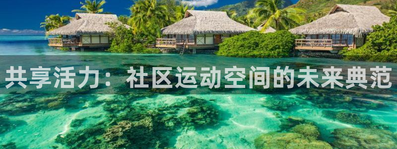 意昂体育4招商电话：共享活力：社区运动空间的未来典范