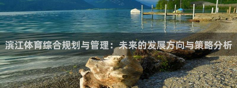 意昂4娱乐首页官网下载：滨江体育综合规划与管理：未来