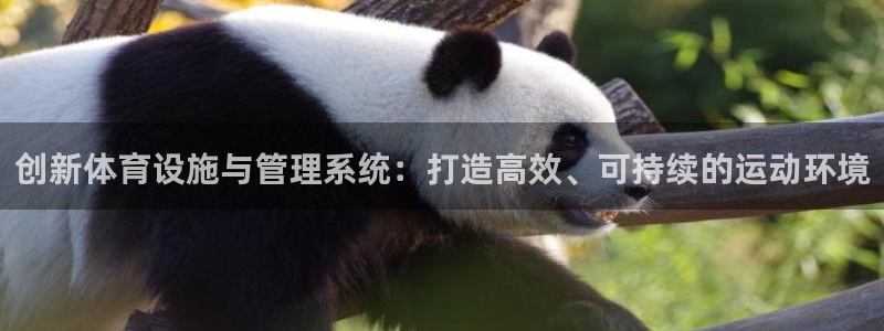 意昂4娱乐下载：创新体育设施与管理系统：打造高效、可