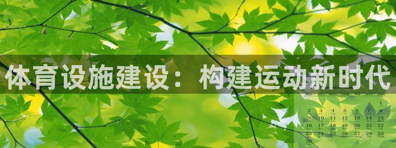 意昂4神州：体育设施建设：构建运动新时代
